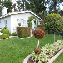 L.A. guest house retreat